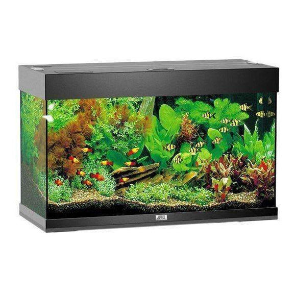 Juwel Aquarium Rio 125 Black TTT