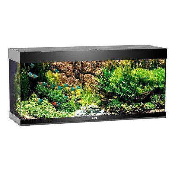 JUWEL Aquarium RIO 240 Black TTT