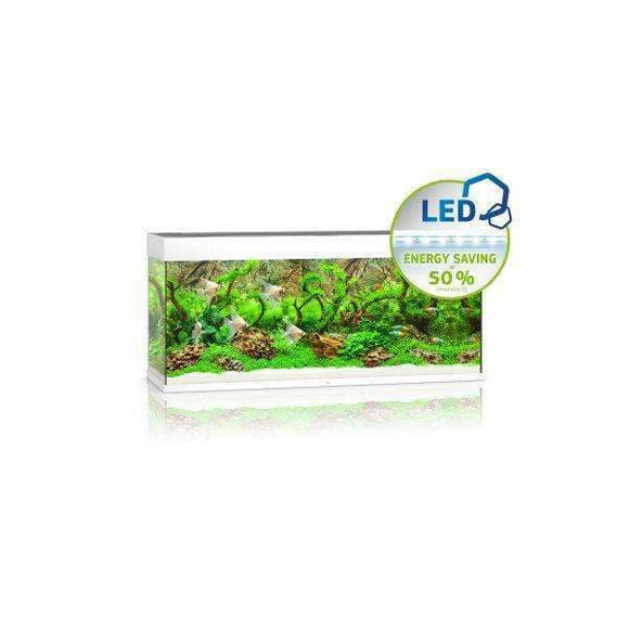 JUWEL Aquarium RIO 240 LED White