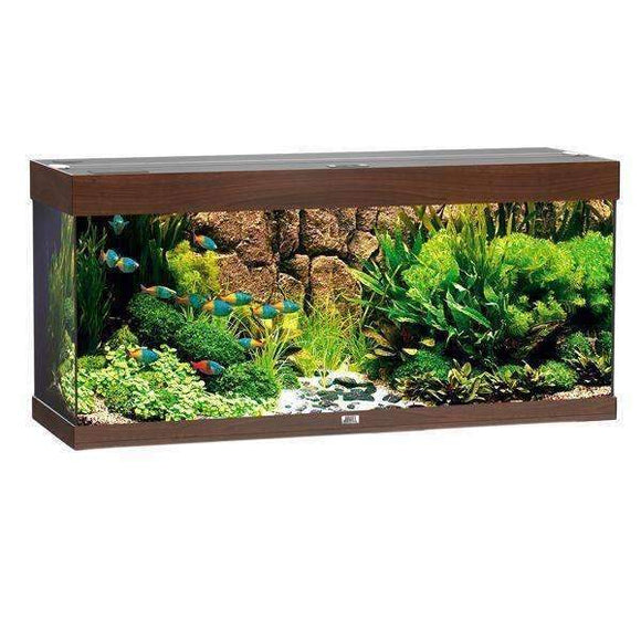 JUWEL Aquarium RIO 240 LED Dark Brown TTT