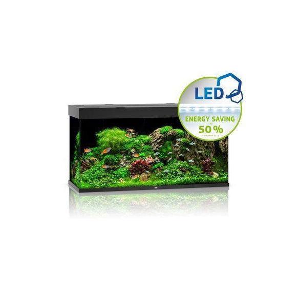 Juwel Rio 350 LED Black