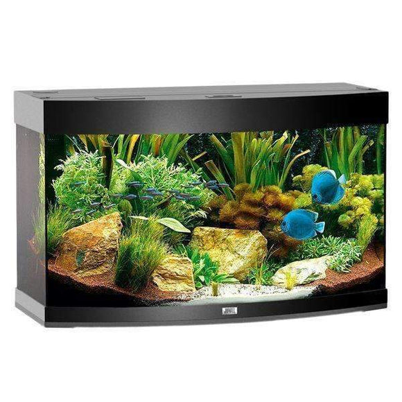 Juwel Aquarium Vision 180 Black TTT