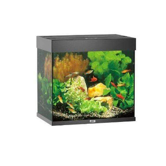 Juwel Aquarium Lido 120 Black TTT