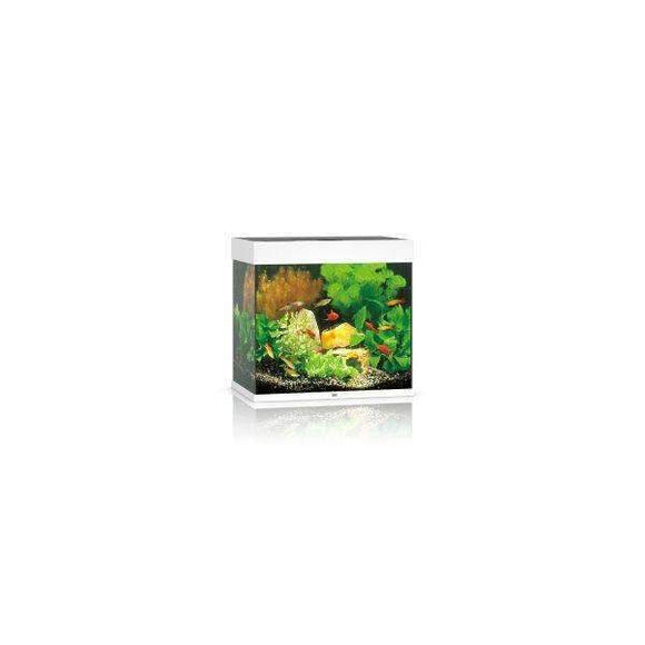Juwel Aquarium Lido 120 White TTT Show-piece