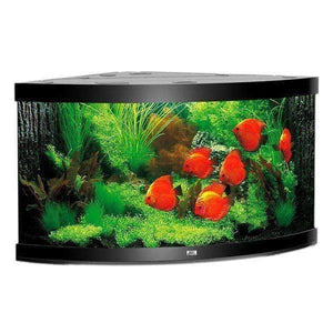 Juwel Aquarium Trigon 350 Black TTT