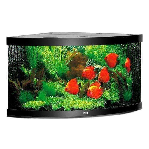 Juwel Aquarium Trigon 350 Black TTT