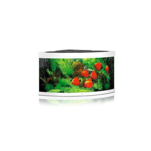 Juwel Aquarium Trigon 350 White TTT