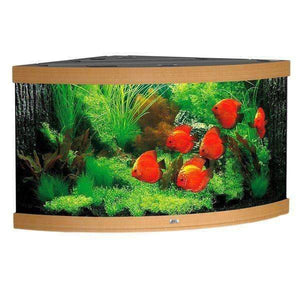 Juwel Aquarium Trigon 350 Beech-Wood-Color TTT