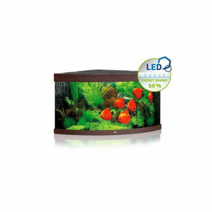 Juwel Aquarium Trigon 350 LED Dark Wood