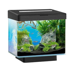 Juwel Aquarium VIO 40 Black TTT