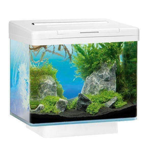 Juwel Aquarium VIO 40 White TTT