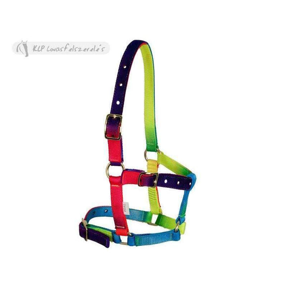 Multicolour Halter For Small Horses
