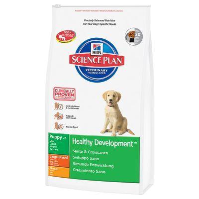 Hill's Canine Puppy Large Breed Chicken 2,5kg