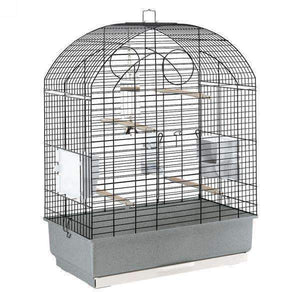 Ferplast Viola Cockatiel and budgie cage