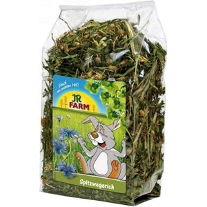 JR FARM Ribwort 100gr