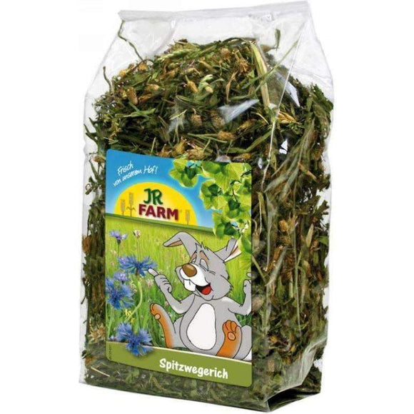 JR FARM Ribwort 100gr