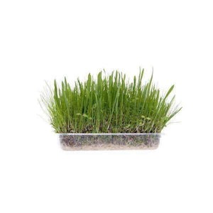 Karlie Soft Grass For Rodents - 60g
