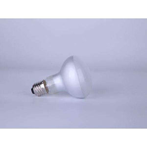Mclan Zoo Bulb day light R63 25W