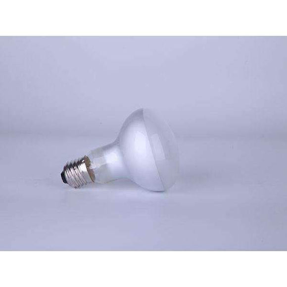 Mclan Zoo Bulb day light R63 25W