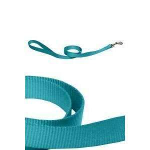 Papillon Nylon Lead, 25 mm x 120 cm, Turquoise